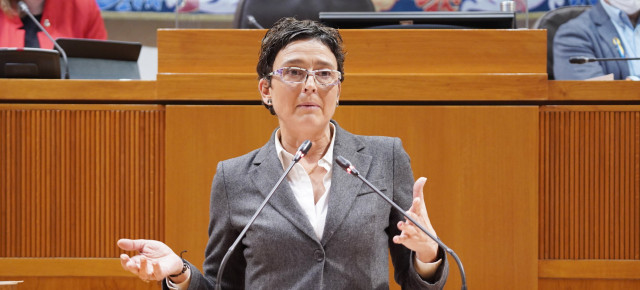 Marín, durante la interpelación a la consejera Repollés