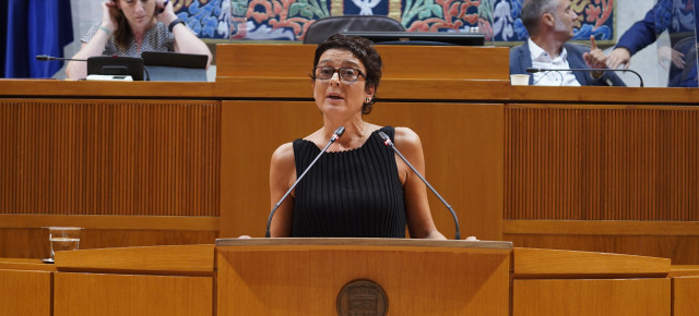 Marín, en la interpelación a la consejera de Sanidad