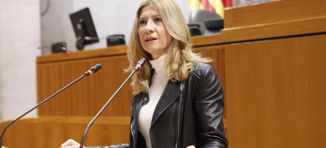El Parlamento aragonés consigna la transparencia, la participación y la igualdad en el reparto de los fondos de recuperación     