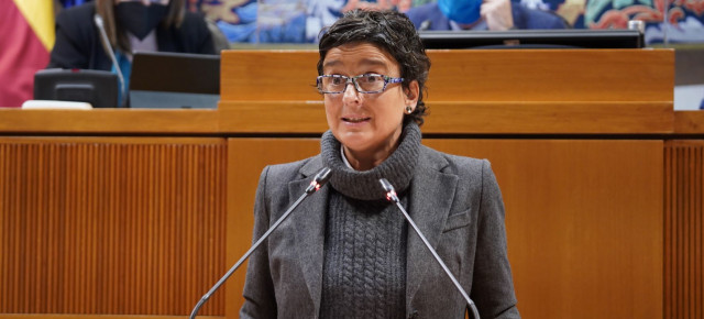 Ana Marín, durante la interpelación