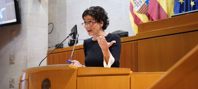 Ana Marín, en el pleno 