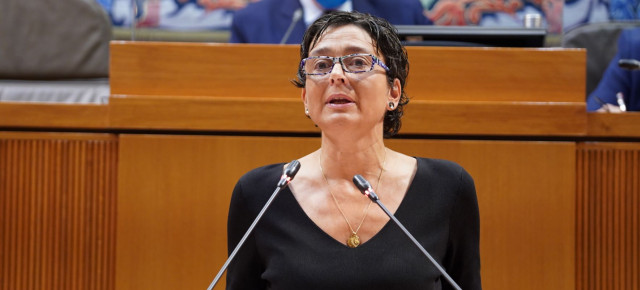 Marín, durante su intervención en el pleno