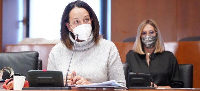 Carmen Susín, durante la sesión de Comisión de Hacienda