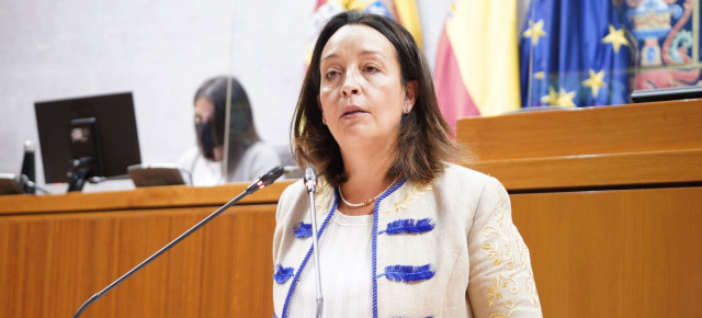 Susín durante su intervención en las Cortes