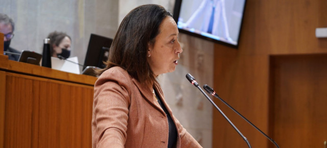 Susín ha defendido la bonificación al 99% del impuesto de Sucesiones y Donaciones