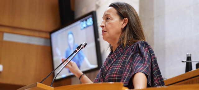 Carmen Susín, en el pleno