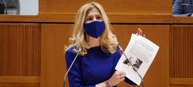 Vaquero, durante una intervención en el Pleno de las Cortes