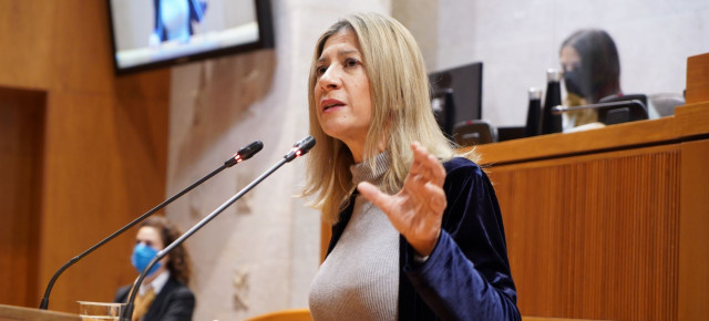 Vaquero en el pleno de las Cortes