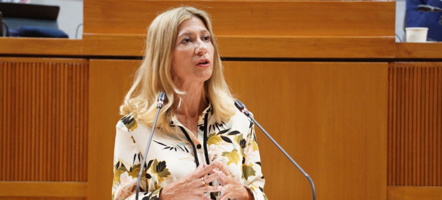 Mar Vaquero, durante su intervención en el pleno