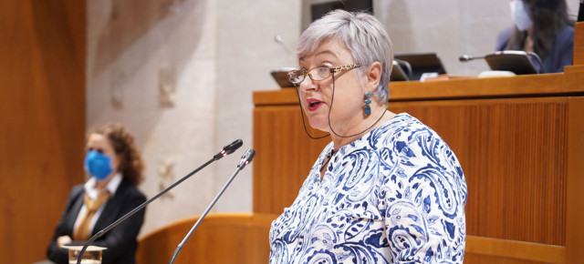 Pilar Gayán, durante el pleno