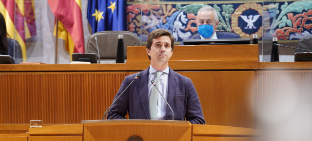 Celma, durante la intervención en el pleno