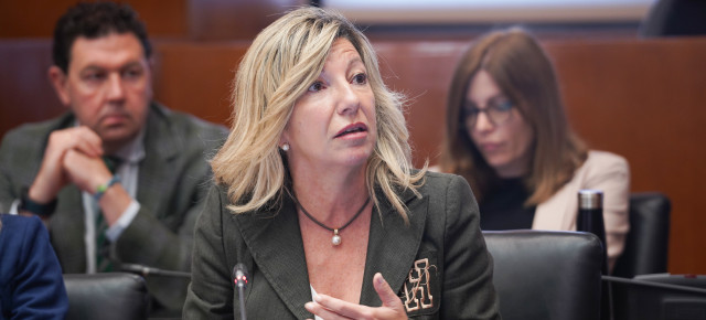 La portavoz de Hacienda del Partido Popular, Blanca Puyuelo
