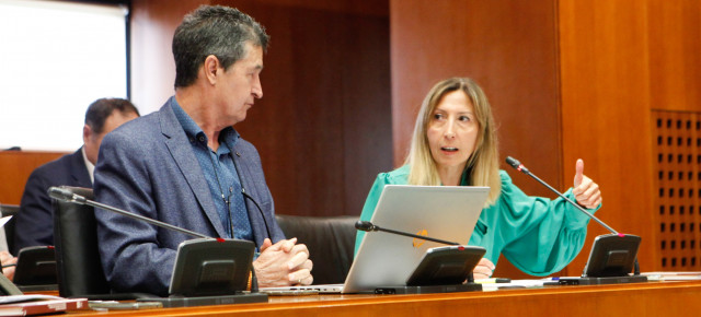 Susana Cobos, portavoz de Medio Ambiente del Partido Popular