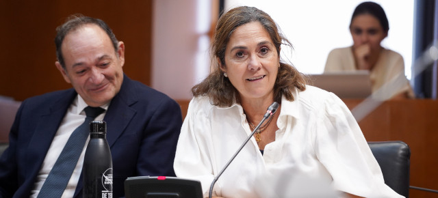 La portavoz de Bienestar Social del PP, Susana Gaspar
