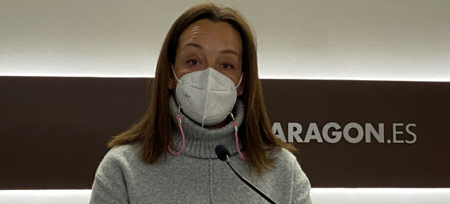 Susín lamenta que las prisas de Lambán hagan que la nueva ley de simplificación administrativa lleve a la desregulación en vez de a la simplificación 