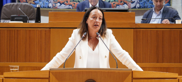 Susín en el pleno de las Cortes