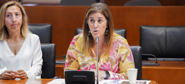 La portavoz de Hacienda del PP, Lorena Tabanera