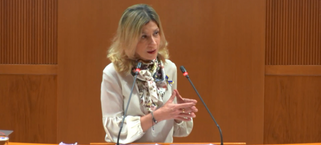 Vaquero, durante su intervención en el Pleno