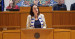 Susín, en el pleno